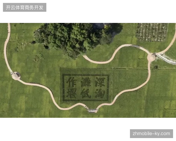 超85%的马拉松赛事直播带宽成本通过动态分发协议优化实现有效回落